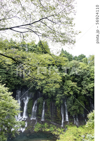 白糸の滝（夏） 56924110