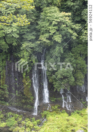 白糸の滝（夏） 56924112