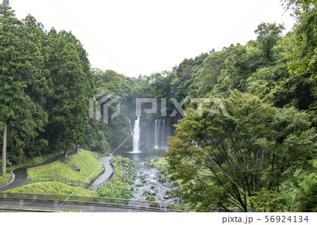 白糸の滝(夏) 白糸の滝(夏) 56924134