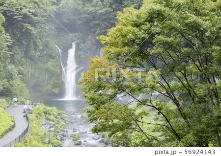 白糸の滝(夏) 白糸の滝(夏) 56924143