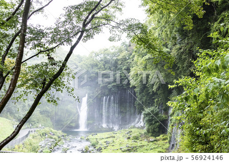 白糸の滝（夏） 56924146