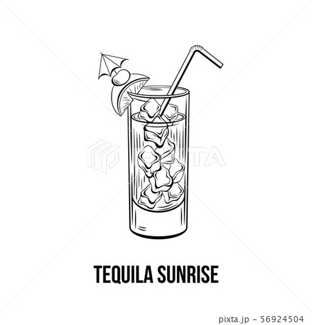 Tequila sunrise vector hand drawn illustration 56924504
