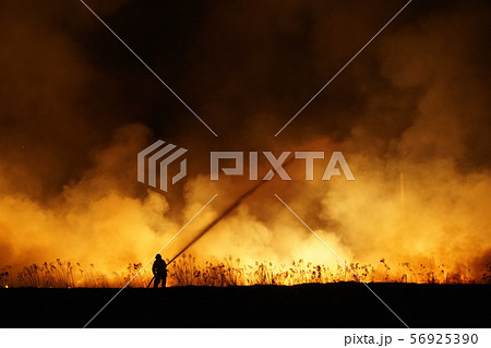 Silhouette of fireman fighting bushfire at night, man against the fire. 56925390