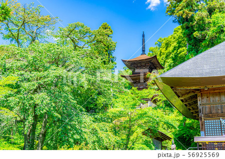 国宝大法寺三重塔 青木村 【長野県】 国宝大法寺三重塔 青木村 【長野県】 56925569