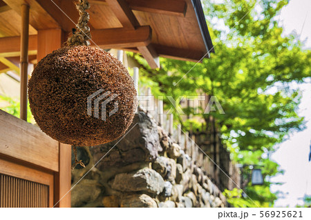 軒先の杉玉　京都 56925621