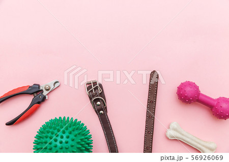 Pet care and animals concept. Toys and accessories Pet care and animals concept. Toys and accessories 56926069
