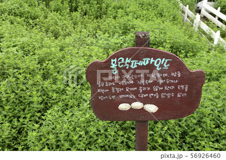 健康 植物園 56926460
