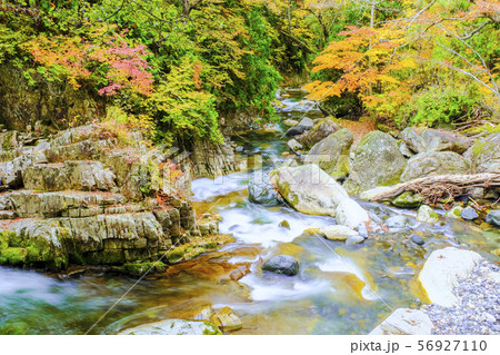 秋の渓谷2 秋の渓谷2 56927110