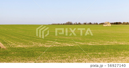 summer landscape summer landscape 56927140