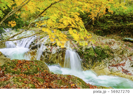 紅葉の渓流２ 56927270