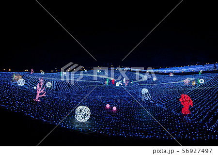 ジャム勝山のジオイルミネーション ジャム勝山のジオイルミネーション 56927497