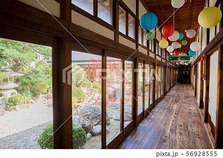 袋井　可睡斎　風鈴祭 56928555