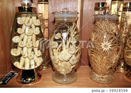 高麗人参 樟脳 山参 56928599