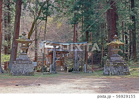 塩野神社 56929155