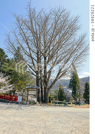 霞ヶ城跡 霞ヶ城跡 56929221