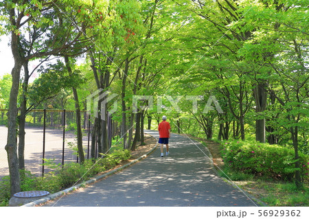 東京都稲城市若葉台1丁目の春の若葉台公園付近 56929362