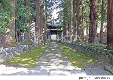 慈雲寺 慈雲寺 56930035