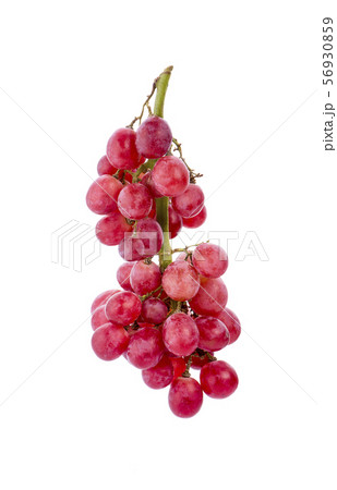 red grapes isolated on white background. 56930859
