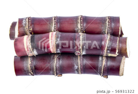 Sugar cane isolated on white background top view 56931322