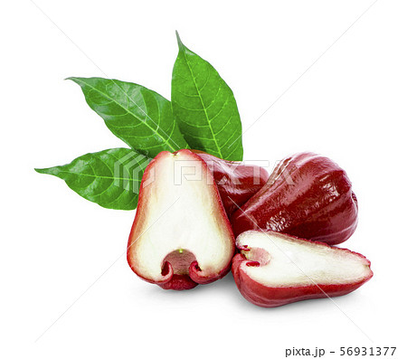 Rose apples isolated on white background Rose apples isolated on white background 56931377
