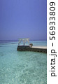 モルディブ　ハネムーンイメージ写真 56933809