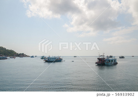 タオ島の船着き場 56933902