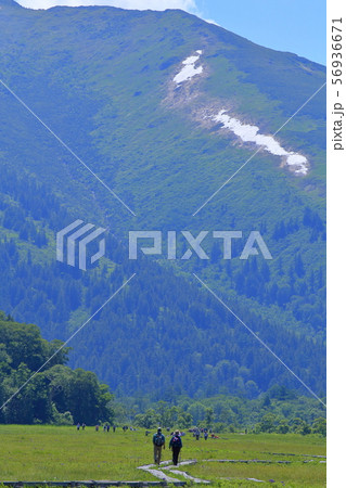 夏の尾瀬ヶ原 中田代から南西側の至仏山を見る 夏の尾瀬ヶ原 中田代から南西側の至仏山を見る 56936671