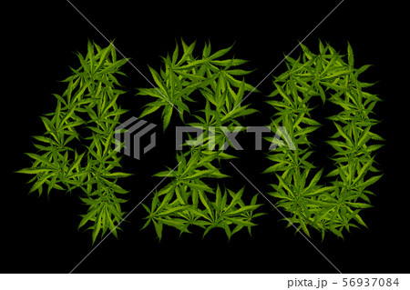 Four-twenty time for smoking marijuana. 56937084