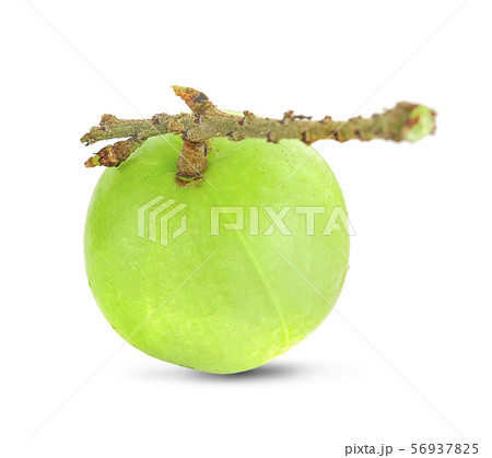 Indian gooseberry an isolated on white background Indian gooseberry an isolated on white background 56937825