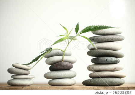 Medical marijuana cannabis cbd oil 56938807