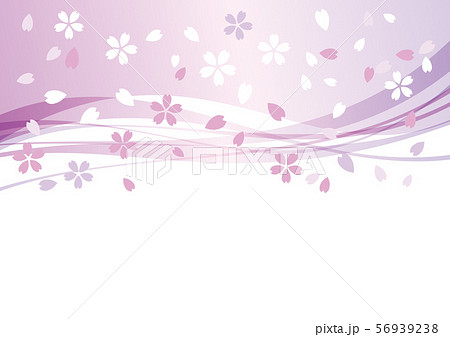 桜とウェーブ 波 春 背景 紫のイラスト素材