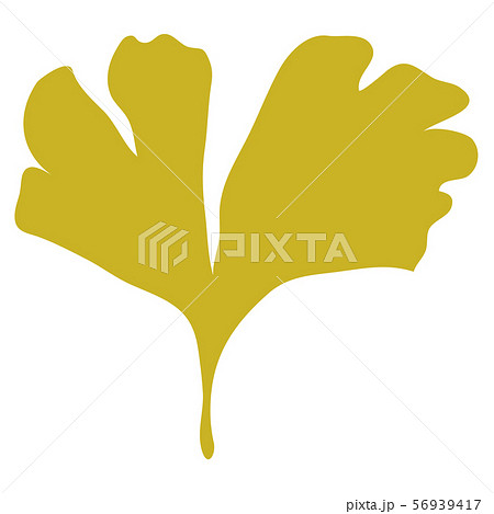 イチョウの葉１枚2のイラスト素材 56939417 Pixta