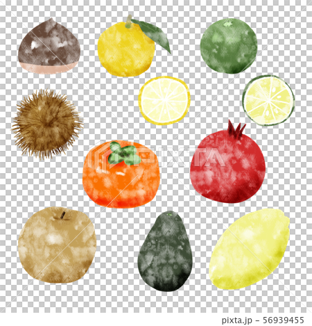 水彩風秋の果物 56939455