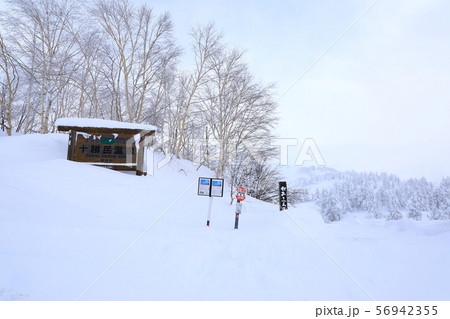 十勝岳温泉　雪景色 56942355