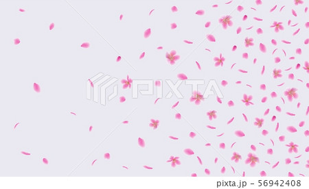 Pink sakura flower petals floating in the wind - abstract background 56942408