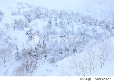 十勝岳温泉から見た十勝岳連峰雪景色 56942427