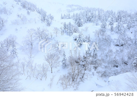 十勝岳温泉から見た十勝岳連峰雪景色 56942428