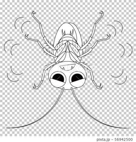 ゴキブリ キャラクター ぬりえ イラスト クリップアートのイラスト素材