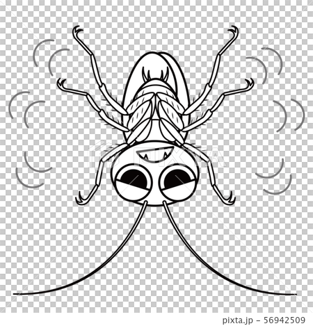 Cockroach character coloring illustration clip art 56942509