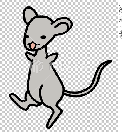 ネズミ 正面 黒線画 イラストのイラスト素材