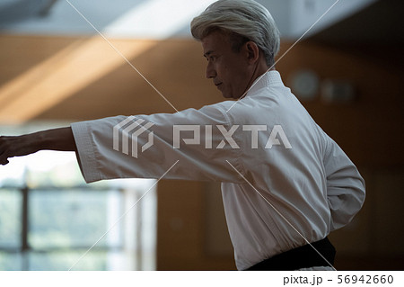 karateka 56942660