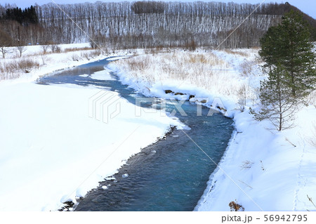 美瑛川　雪景色 56942795