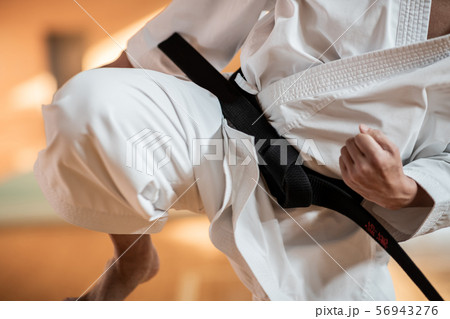 karateka karateka 56943276