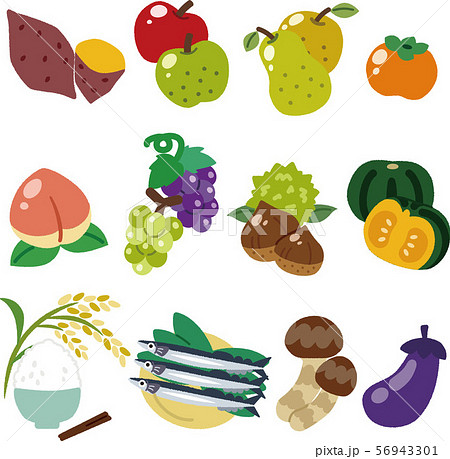 秋の食べ物のイラストのイラスト素材 56943301 Pixta