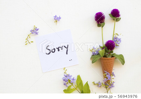 sorry message card handwriting with purple flower  56943976
