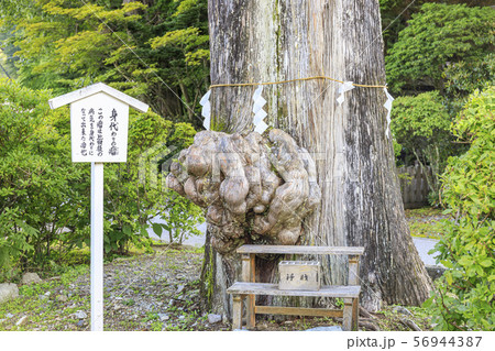 中尊寺 日光 中尊寺 日光 56944387