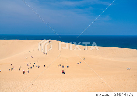 《鳥取県》夏の鳥取砂丘・自然風景 56944776