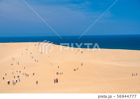 《鳥取県》夏の鳥取砂丘・自然風景 56944777