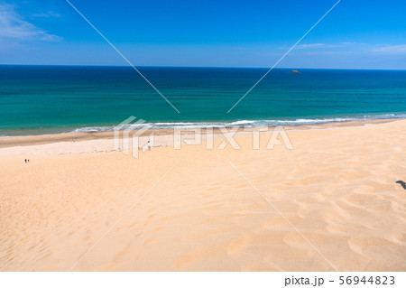 《鳥取県》夏の鳥取砂丘・自然風景 《鳥取県》夏の鳥取砂丘・自然風景 56944823