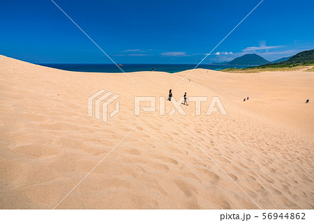 《鳥取県》夏の鳥取砂丘・自然風景 56944862